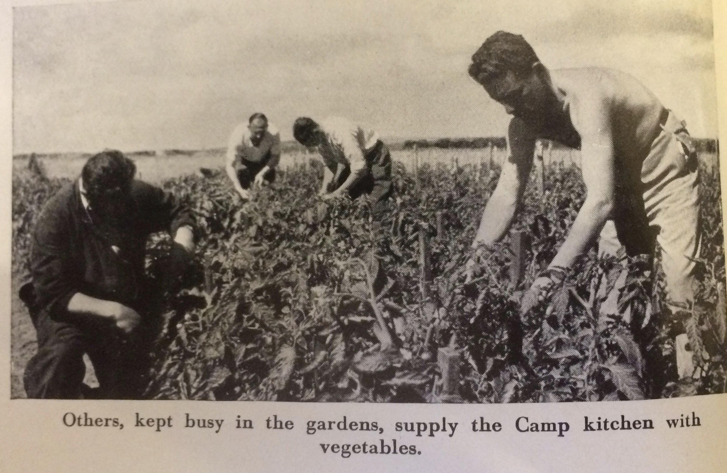 Kitchener camp, Some Victims of the Nazi Terror, Kitchen gardens