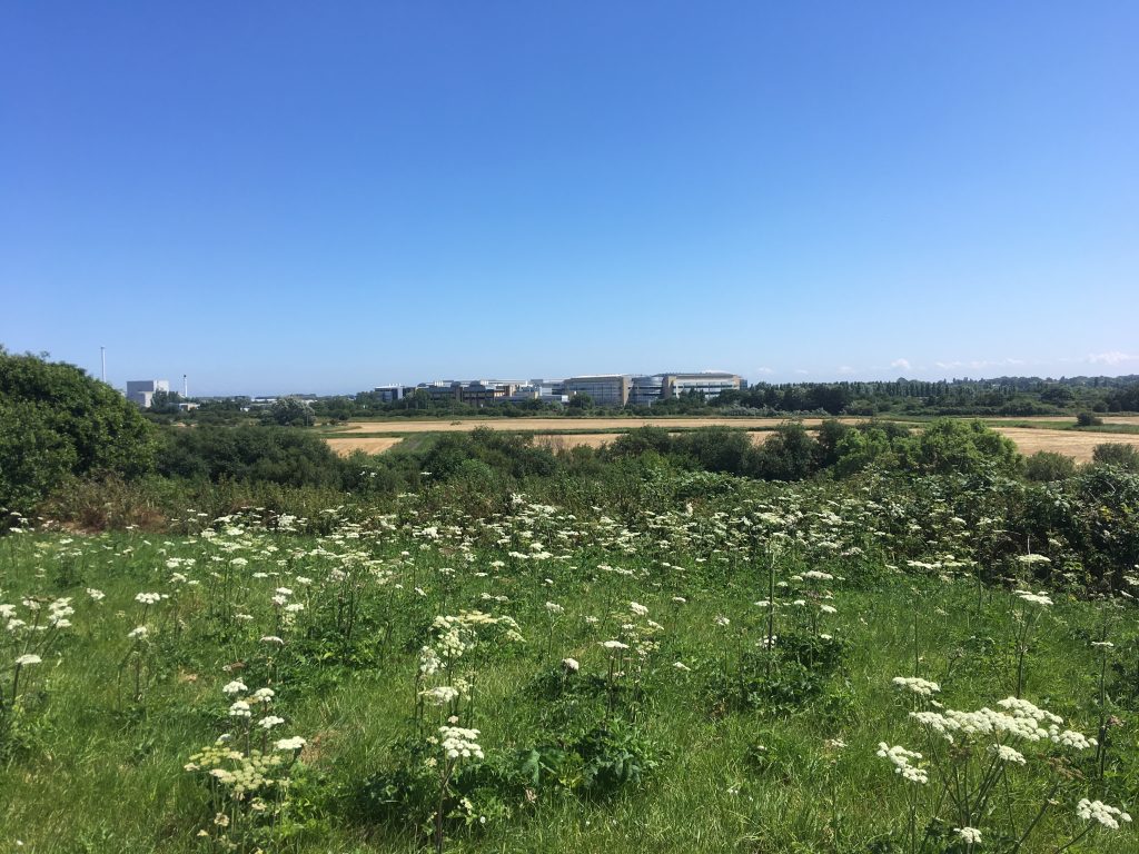 Kitchener camp in the distance - the location of the old Kitchener camp, bought and developed by Pfizer, as seen from Richborough fort, 2018